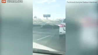 Dozens Of Cattle Scattered On Highway After Truck Accident