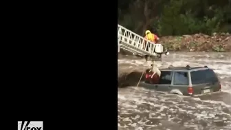 A Driver And His Dog Were Dramatically Rescued From The Water