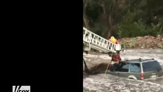 A Driver And His Dog Were Dramatically Rescued From The Water