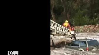 A Driver And His Dog Were Dramatically Rescued From The Water