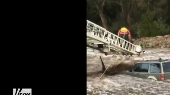 A Driver And His Dog Were Dramatically Rescued From The Water