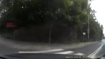 The Driver Turned Too Fast And Skidded Off The Road.