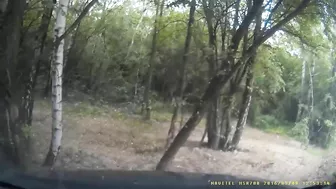 The Driver Turned Too Fast And Skidded Off The Road.