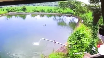 Man Dies From Electrocution While Fishing