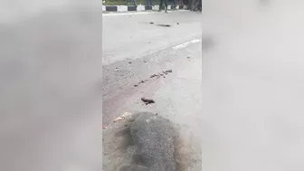 Man Splashed Under Truck