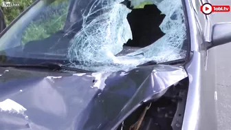 Fatal Dashcam Video Shows Pedestrian Emerging From Bushes