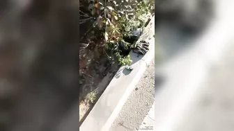 Cyclist Killed By Stupid Driver In Accident