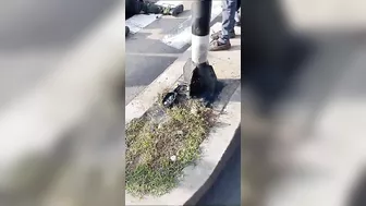Policewoman In Critical Condition After Bicycle Accident
