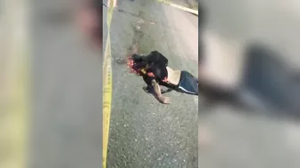 A Football Fan Was Hit On The Head