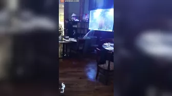 Huge Crack Appears In Aquarium At Houston Restaurant - Video -