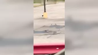 Run Away After Being Hit By Naked Man