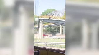 Idiot Hiker Falls Over Guardrail