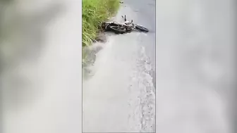 Man's Body Destroyed By Truck