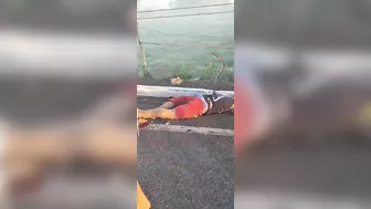 Man Films Horrific Accident On Brazilian Street