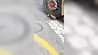 Old Woman Impaled By Truck
