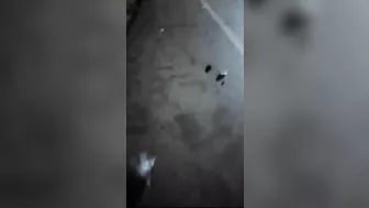 One Cyclist Was Impaled On A Fence And Another Was Torn To Pieces