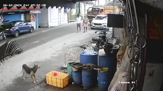 One Less Piece Of Street Shit In The World