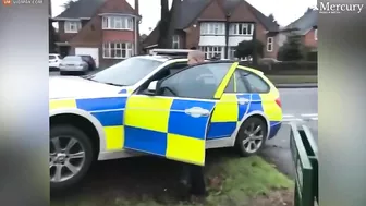 Passerby Abuses Police After Car Crashes Into Mailbox