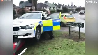 Passerby Abuses Police After Car Crashes Into Mailbox