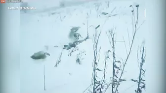 Russian Passenger Plane Crashes, Killing All 71 On Board