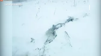 Russian Passenger Plane Crashes, Killing All 71 On Board
