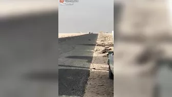 Saudi Prowler Takes Down Photographer