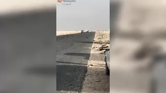Saudi Prowler Takes Down Photographer