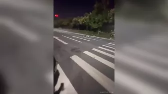 Traffic Inspector Destroyed By Speeding motocycle