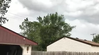 Tree Next To A Power Line Bursts Into Flames