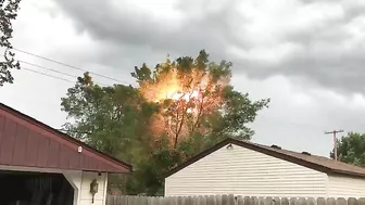 Tree Next To A Power Line Bursts Into Flames