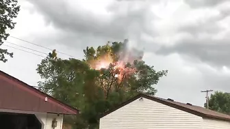 Tree Next To A Power Line Bursts Into Flames