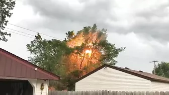 Tree Next To A Power Line Bursts Into Flames