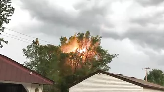 Tree Next To A Power Line Bursts Into Flames