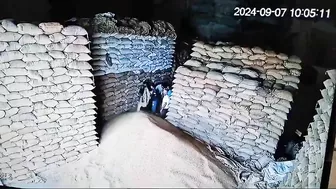 Warehouse Workers buried under falling wheat sacks