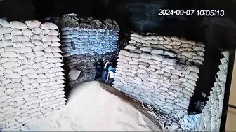 Warehouse Workers buried under falling wheat sacks