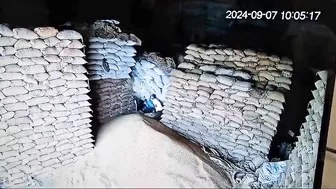 Warehouse Workers buried under falling wheat sacks