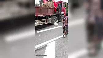 Woman Calmly Makes Final Decision Under Truck Tire