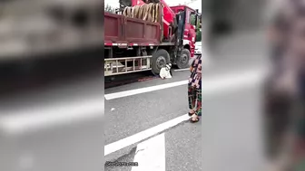 Woman Calmly Makes Final Decision Under Truck Tire