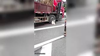 Woman Calmly Makes Final Decision Under Truck Tire