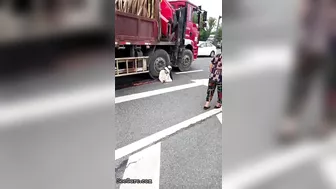 Woman Calmly Makes Final Decision Under Truck Tire