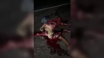 Young Female Ripped Apart on Highway