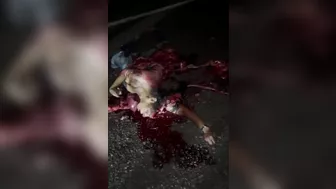 Young Female Ripped Apart on Highway