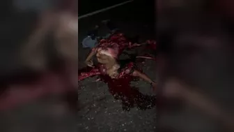 Young Female Ripped Apart on Highway