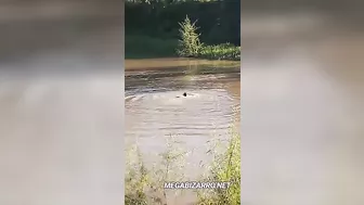 Young Man Dies Trying To Swim Across River