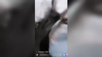 Another Hysterical Street Takeover