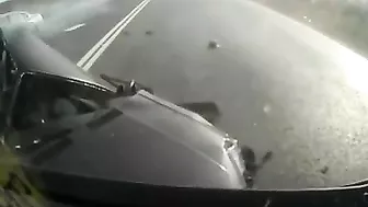 Brothers Survived The Impossible