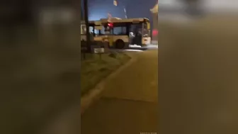 Bus Hit By Train In Belgium