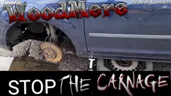 Car Accident Massacre