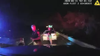 Dashcam Shows Driver Ramming Police Car During Traffic Stop