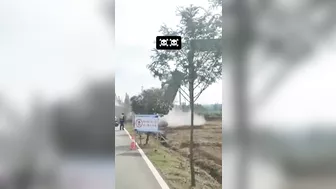 Domino Effect